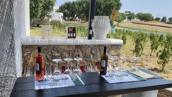 Wine Tasting Tour at a traditional farm in Mykonos