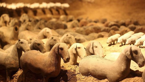 Private Xi'an Tour: Terracotta Warriors, Hanyangling Museum, Cave Homes