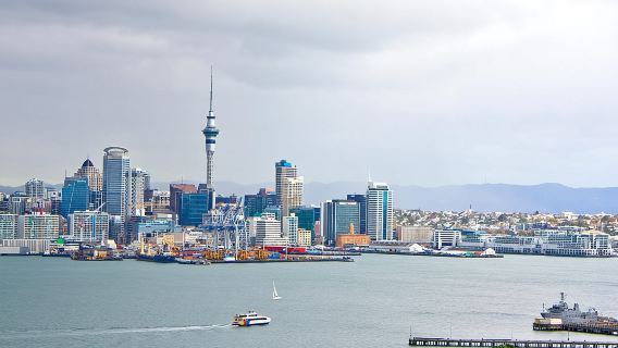 Auckland City Highlights, Afternoon Piha Beach & Rainforest Tour