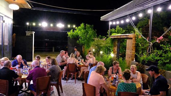 Vy's Kitchen Private BBQ DINNER Experience