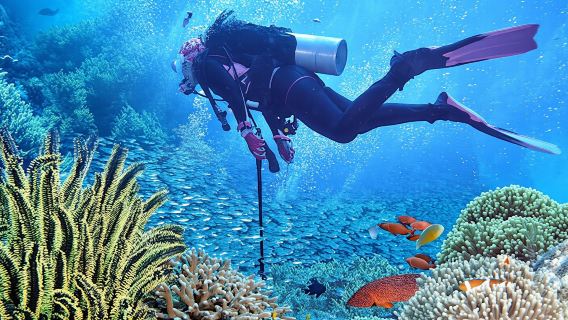 Zanzibar diving experiences from the North East coast