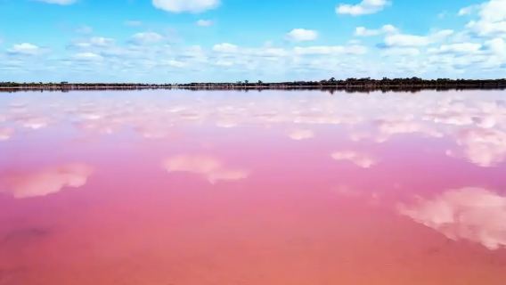Avignon-Provence, Frankreich: Rosa Salzsee + Schloss Les Baux + Carrière Time Museum