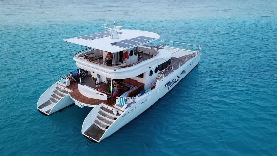 Private Catamaran - Prison Island & Nakupenda Sandbank (8 hrs)