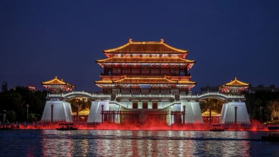 Tour del Paradiso Tang con guida privata