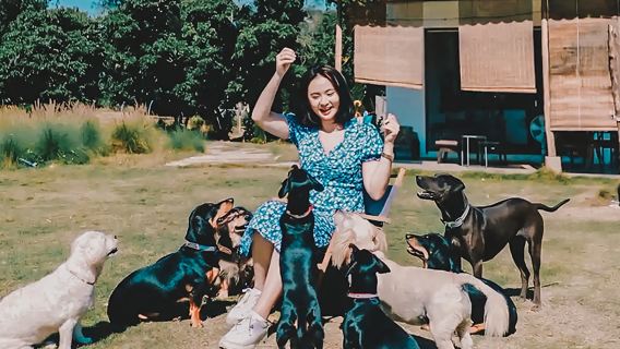 チェンマイ ブアトーン滝-ナムプ チェットシー国立公園+人気犬と象のカフェElely Cafe半日帰りツアー