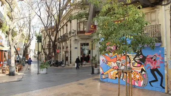 Valencia Street Art | Private Tour by Bike or Electric Ride