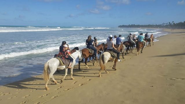 Punta Cana Beach Horseback Riding