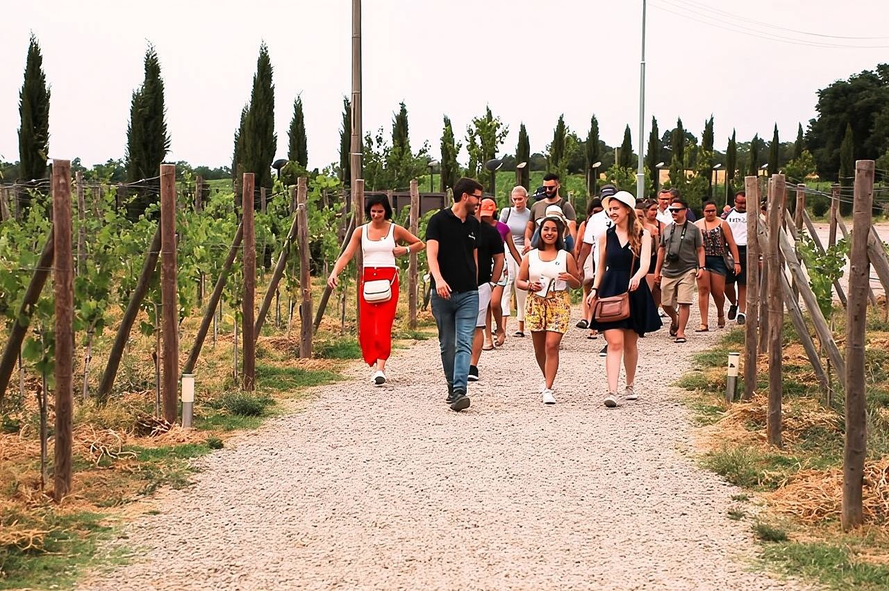 San Gimignano, Siena, Monteriggioni: Fully Escorted Tour, Lunch & Wine Tasting