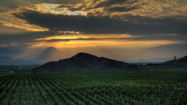 Tour Organizzati: Khor Virap, Noravank, Cantina Areni e Grotta