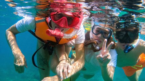 Private Snorkeling with turtles with BBQ food 9