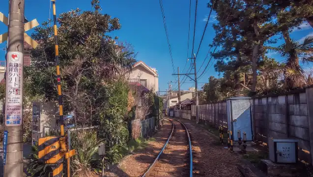 日本東京鎌倉高校前+江之島+鎌倉大佛+鶴岡八幡宮/包車隨心所欲選