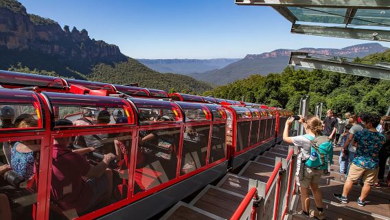 從雪梨出發：藍山動物園、無尾熊拍照、風景世界