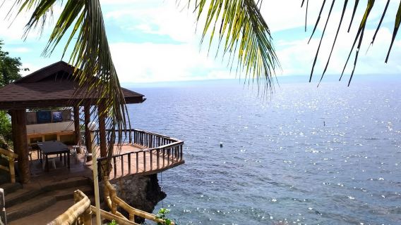 Bohol Napaling Sardine Run