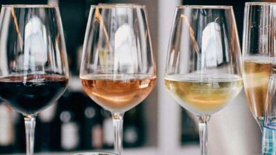 From Tirana: Wine Tasting & Durres Small Group Tour
