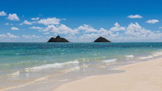 Oahu: Excursión guiada en kayak por Kailua con almuerzo