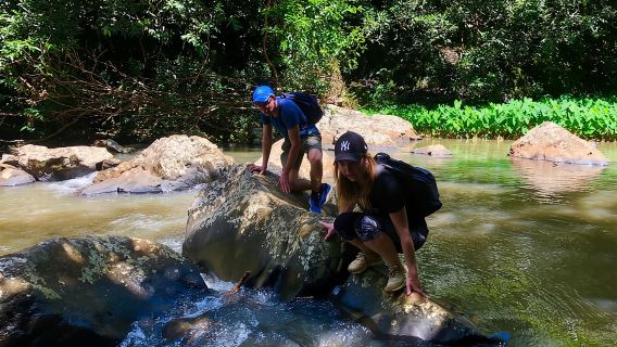 From Chamarel: Waterfall Eco-Hike Adventure