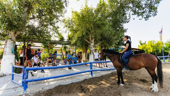 Heraklion: tour a cavallo a Finikia con pranzo o cena