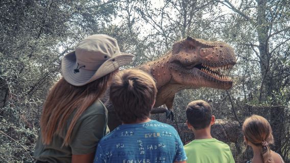 From Alcúdia: Dinosaurland and Hams' Caves Half-Day Trip