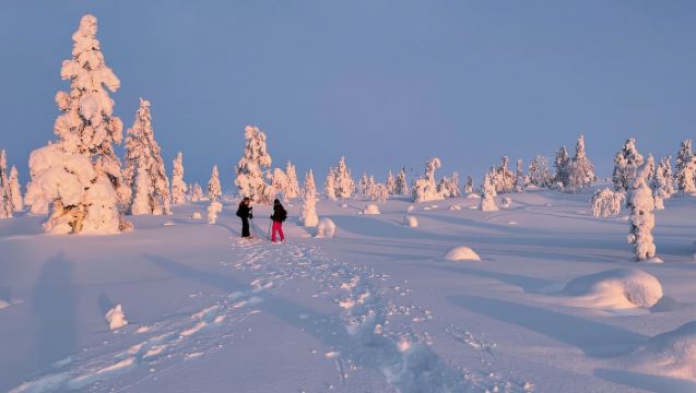 Levi: Schneeschuhwanderung im Pallas-Yllästunturi-Nationalpark