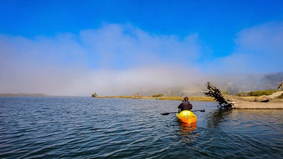 Russian River: Kayak Tour
