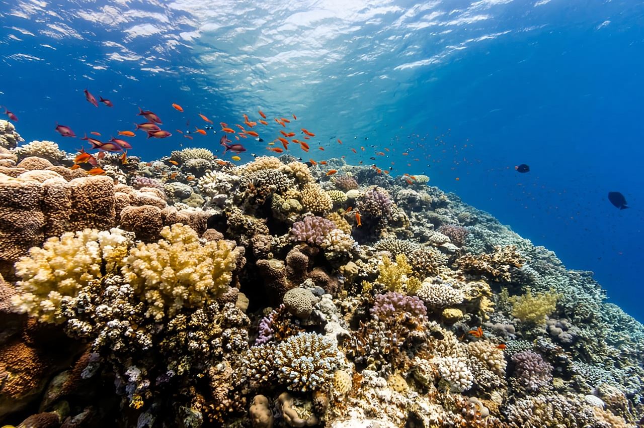 Hurghada: gita in yacht all'isola di Orange con pranzo e sport acquatici