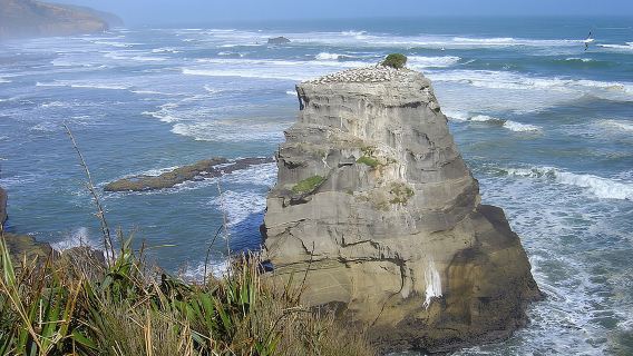 紐西蘭奧克蘭 伊甸山-小黑子沙灘 可訂製南北島包車