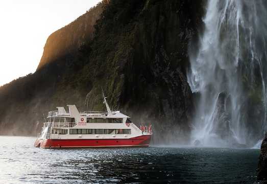 Milford Sound cruise sightseeing tour [Multiple vessels available + wildlife encounters and waterfall visits]