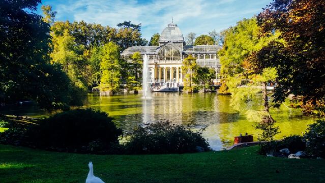 西班牙馬德里麗池公園+拉斯班塔斯鬥牛場+聖地亞哥·伯納烏體育