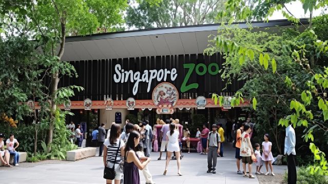 Zoological Gardens Day Safari – Small Group Tour