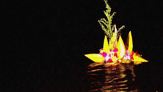 【スターライトツアー】プーケット・パンガー湾・国立公園ワンデーツアー 蛍光生物鑑賞 全島送迎付き