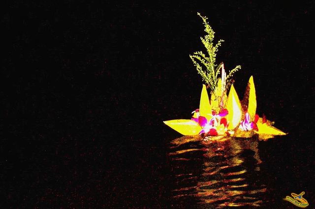 [การเดินทางใต้แสงดาว] ทัวร์ 1 วันอุทยานแห่งชาติอ่าวพังงา ภูเก็ต ชมสิ่งมีชีวิตเรืองแสง บริการรับส่งทั่วเกาะ