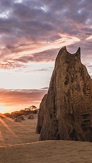 Pinnacles + Lobster Shack one-day tour in Perth, Western Australia [Chinese/Mandarin/English Perth City Pickup]