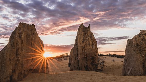 Однодневный тур в Те-Пиннаклс и Лобстер-Лодж из Перта (трансфер из города Перт, экскурсия на китайском/английском языке)