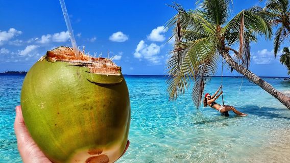 Excursión de un día a las Islas de San Blas con todo incluido. Visita a 4 islas.