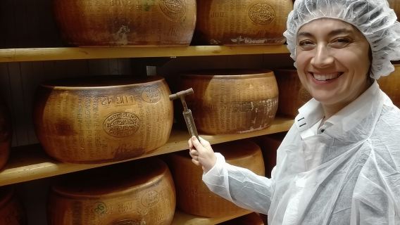 Private Emilian Food and Wine Tasting Tour in Modena