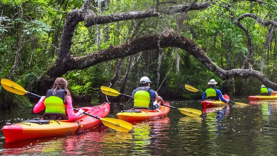 Escursione guidata in kayak a Lofton Creek sull'isola di Amelia