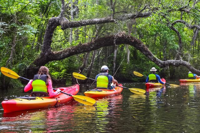 Excursion guidée en kayak sur Lofton Creek à Amelia Island