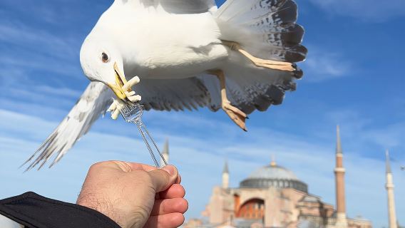 IstanbulTours