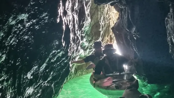 Wildlife, Sea Cave and Bushcraft Kayak Safari in English Riviera