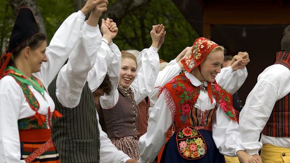 Biglietto d'ingresso al museo all'aperto Skansen di Stoccolma