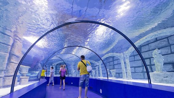 Antalya: Aquarium, Wax Museum & Combo Package Options