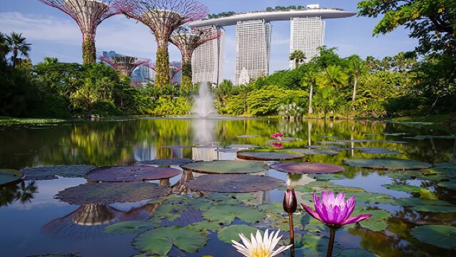 新加坡一日掠影：從花園到文化街區