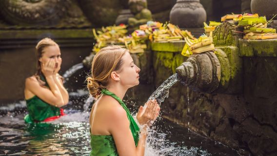 Sorotan Ubud dan Air Terjun: Sehari Menikmati Budaya dan Keindahan Alam