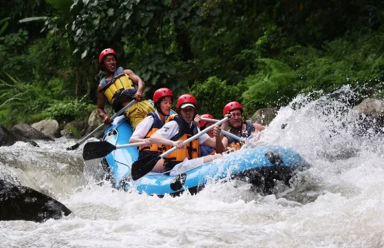 烏布激流泛舟連瀑布觀賞及午餐