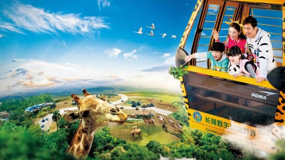 廣州長隆度假區+長隆野生動物世界一日遊｜上門接｜含門票+快通