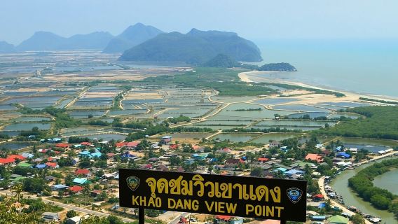 Wanderung durch den Mangrovenwald und Bootsfahrt auf dem Fluss mit privatem Guide ab Hua Hin