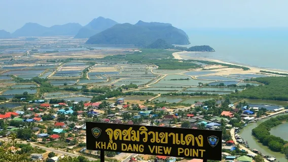 Mangrove Forest Hike and River Boat Ride with Private Guide from Hua Hin