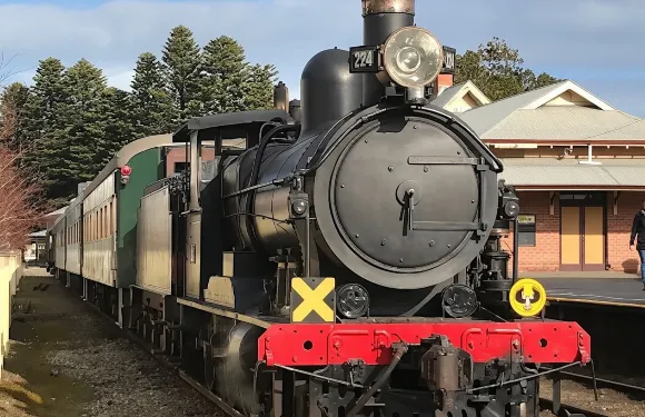 維克多港及菲爾半島之旅