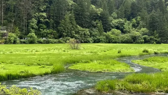 Eintrittskarte für Jiuzhaigou inklusive Sightseeing-Bus