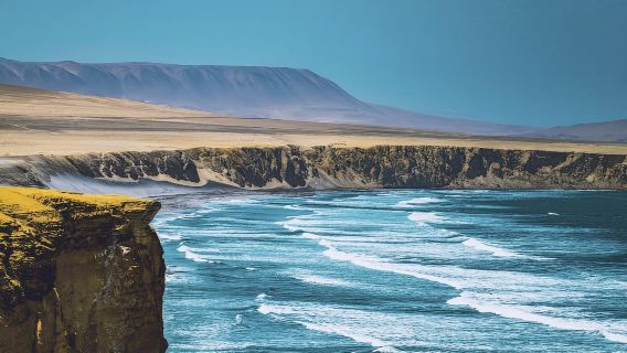 Paracas: Ballestas Islands and Paracas National Reserve Tour